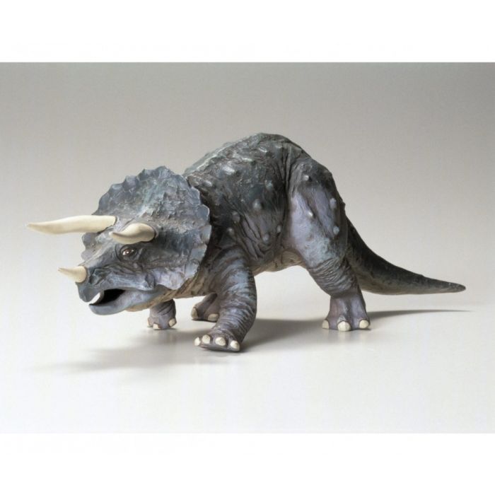 Triceratops Eurycephalus