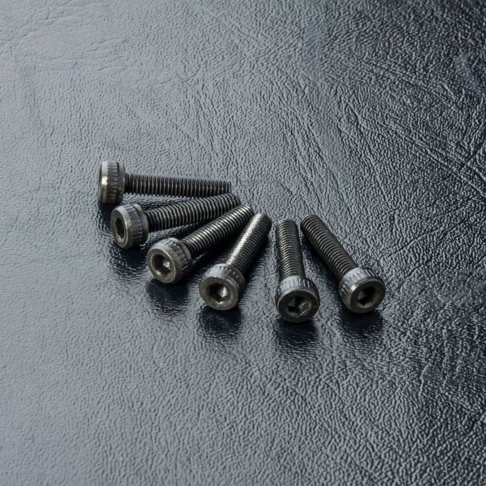 Cap screw M3X14 (6)