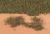 BLATTERFLOR H.GRUN 28X14CM