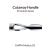 Handle for Mobius 0.2 