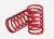 GTR 1/16 demperveer rood (2.925 nominaal) (2)