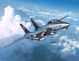 Grumman F-14D Super Tomcat Revell modelbouwpakket