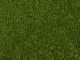 Laub-Foliage