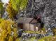 Schutzhütte / 1/87 SCHUILHUT
