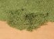 BLATTERFLOR M.GRUN28X14CM