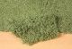 BLATTERFLOR D.GRUN28X14CM