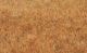 Grasfaser Willdgras Spätherbst, 75 g, 5-
