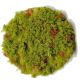 BEL. FLOCKEN BUNT G.200ML