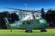 Trumpeter VH-34D 