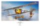Eduard Plastic Kits: Fokker D.VII (OAW), Profipack