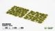 Green 4mm - Wild