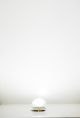 LED VERLICHTINGSARMATUUR KOUD WIT