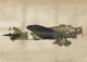 SM.81 PIPISTRELLO 1:72 (2/19) *